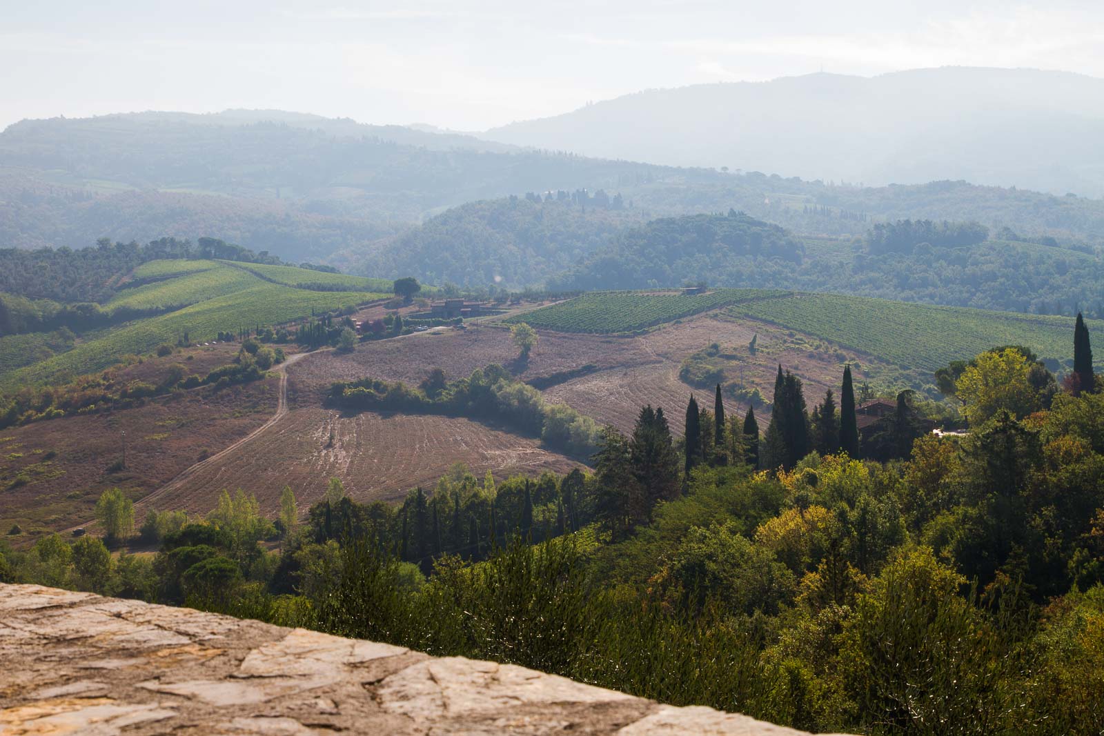 Views over Greve di Chianti