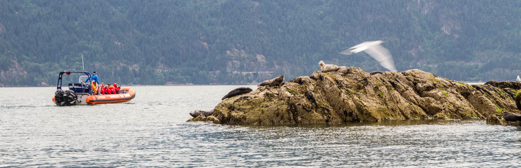Howe Sound, Vancouver