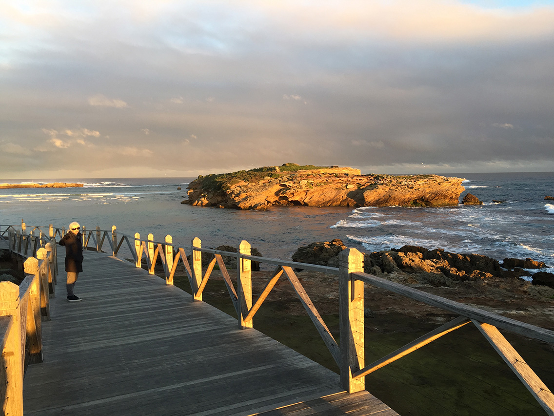 Middle Island, Warrnambool, is now off limits to people (and foxes) to protect the penguins.