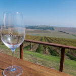 A single glass, vineyards - wine tasting in the Yarra Valley